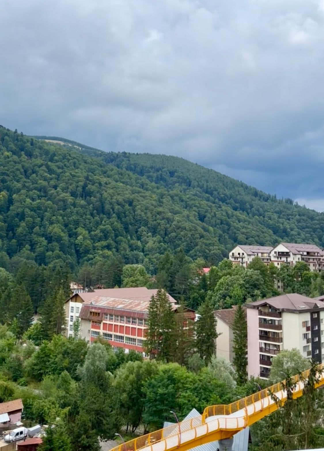 Alpine Line Studio Сіная Екстер'єр фото